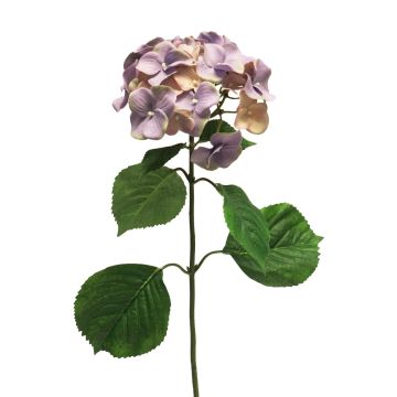 Hortensia artificial MEITAO, violeta-melocotón, 70cm