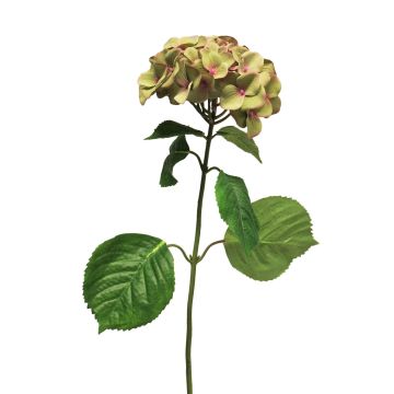 Hortensia artificial MEITAO, verde-rosa, 70cm