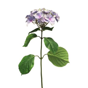 Hortensia artificial MEITAO, púrpura, 70cm