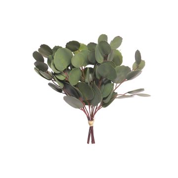 Ramo de eucalipto artificial DONGXU, verde, 30cm