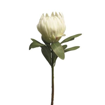 Protea decorativa JIAHUI, blanco, 70cm