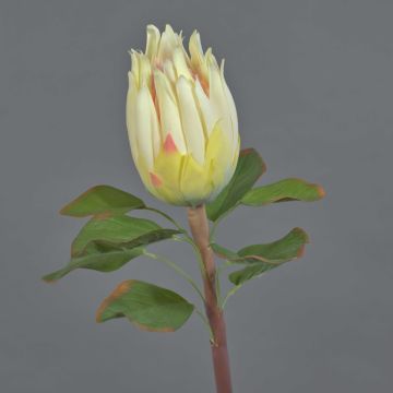 Portea artificial SHUHUI, blanca, 60cm