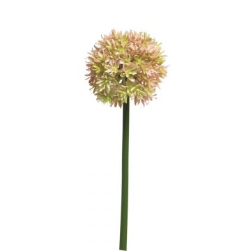 Allium artificial ZHUANG, rosa-crema, 60cm