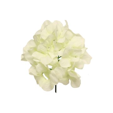 Hortensia decorativa FUHUA, crema, 25cm