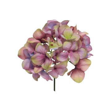 Hortensia decorativa FUHUA, rosa-verde, 25cm