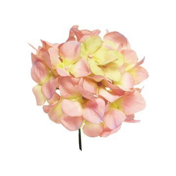 Hortensia decorativa FUHUA, rosa-crema, 25cm