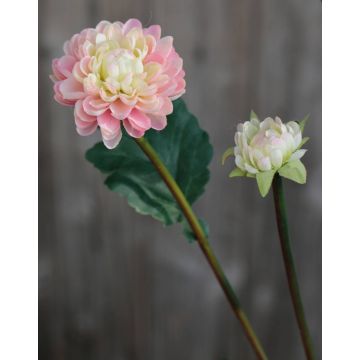 Crisantemo artificial RYON, rosa-crema, 70cm, Ø3-5cm