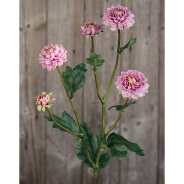 Crisantemo artificial RYON, rosa-verde, 70cm, Ø3-5cm