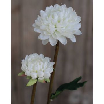 Crisantemo artificial RYON, blanco, 70cm, Ø3-5cm