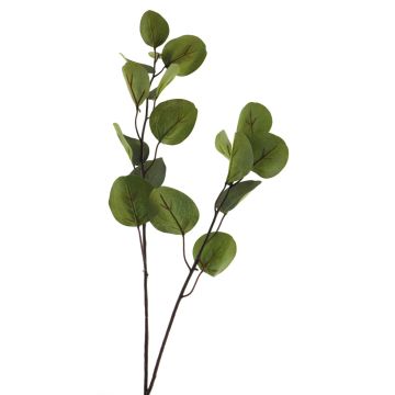 Rama decorativa de eucalipto AOSHAN, verde, 80cm