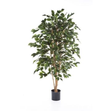 Ficus Benjamina artificial THIAGO, troncos naturales, difícilmente inflamable, verde, 120cm