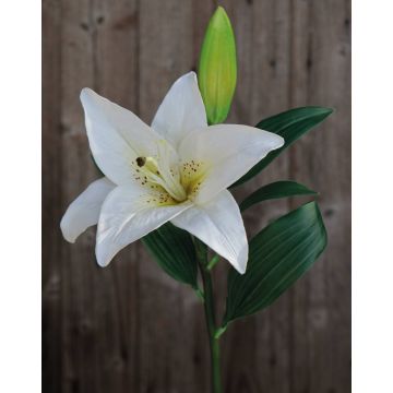 Flor del lazo atigrada artificial FILICE, blanco-verde, 50cm, Ø17cm