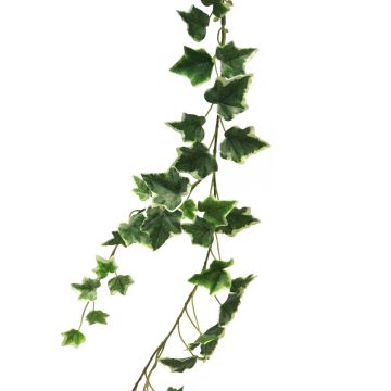 Guirnalda decorativa de hiedra LANSHUO, verde-blanco, 180cm