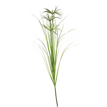 Rama decorativa de hierba chipre QINYU, verde, 120cm