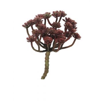 Echeveria macdougallii artificial ULUO en varilla de ajuste, rojo burdeos, 19cm