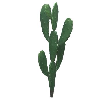 Cactus artificial de nogal ZANHANG, varilla de ajuste, verde, 65cm