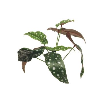 Planta artificial de begonia NILING, varilla de ajuste, verde-blanco, 35cm