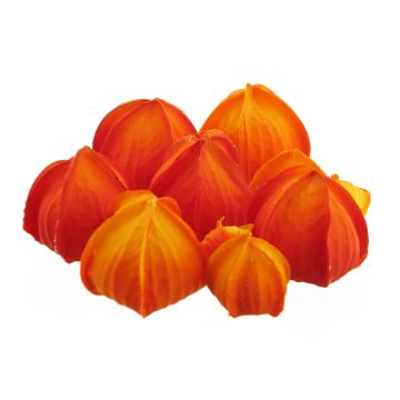 Physalis artificial XUEROU, 10 piezas, naranja-amarillo