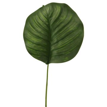 Hoja artificial de calathea Orbifolia ZICHEN, verde, 65cm