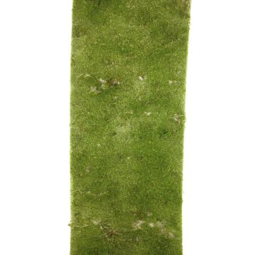 Alfombra de musgo artificial LANLING, verde, 300x80cm