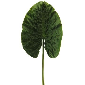 Hoja artificial de Alocasia Sanderiana HAOYUE, verde, 75cm