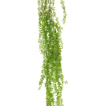 Senecio decorativo SHUANG en varilla de ajuste, verde, 110cm