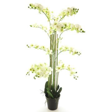 Orquídea Phalaenopsis artificial CHENXU, blanca, 140cm