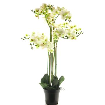 Orquídea Phalaenopsis artificial CHENXU, blanca, 110cm