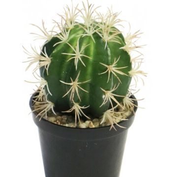 Cactus artificial de silla de suegra RUOLING, verde, 16cm