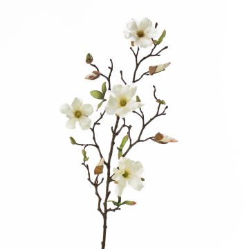 Rama de magnolia artificial LILO, crema, 75cm, Ø5-9cm