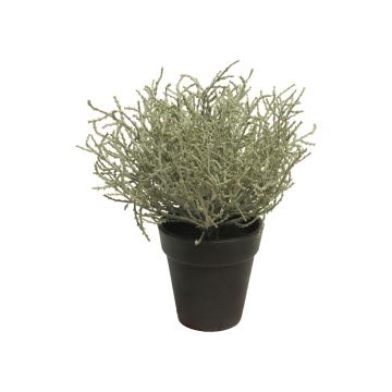 Planta artificial de santolina MALILU, maceta decorativa, gris-verde, 20cm