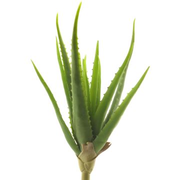 Aloe vera artificial DAHENG en varilla de ajuste, verde, 40cm