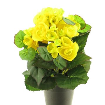 Begonia artificial HETIAN, amarilla, 25cm