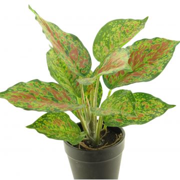 Planta falsa de Caladium SHUTONG en maceta decorativa, verde-rojo, 25cm