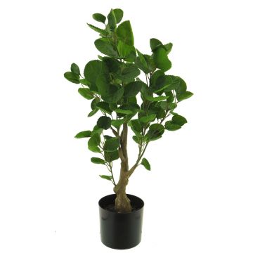 Planta de plástico de aralia SHANG, tronco artificial, verde, 65cm