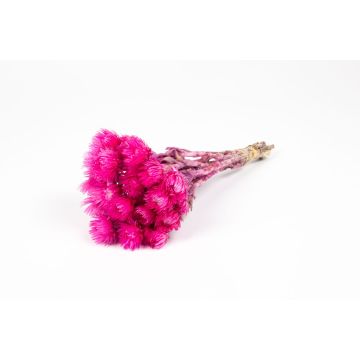 Ramo de flores secas BIBIANA, rosa, 30-40 cm, Ø 15 cm