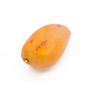 Mango artificial OLINDA, naranja, 12cm, Ø6,5cm