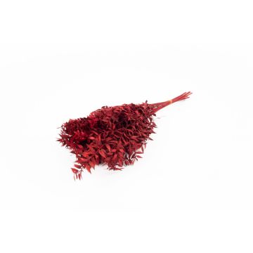 Ramitas secas de rusco AGNIATA, rojas, 70-75 cm, Ø 17 cm
