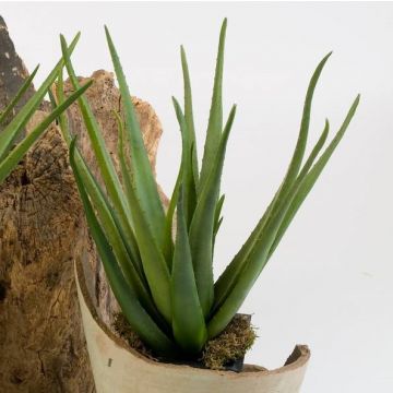 Aloe artificial AMIRA, en vara de fijación, verde, 60cm, Ø35cm