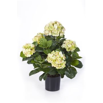 Hortensia flor artificial HARUKA, verde, 55cm, Ø10-15cm