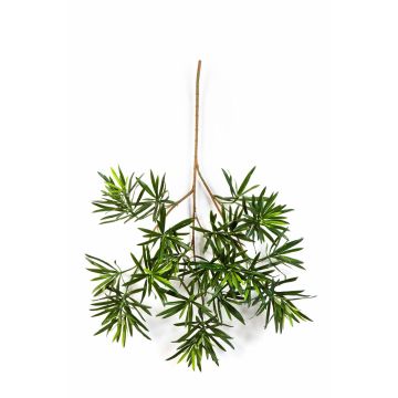 Rama de Podocarpus artificial CHIKO, verde, 65cm