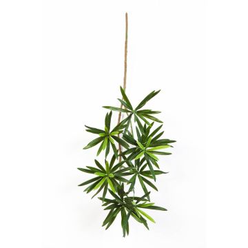 Rama de Podocarpus artificial CHIKO, verde, 50cm