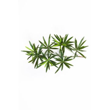 Rama de Podocarpus artificial CHIKO, verde, 40cm