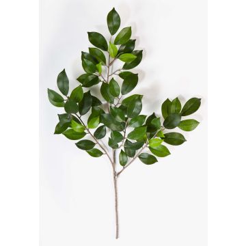 Rama de Ficus sintética AJITH, verde, 45cm