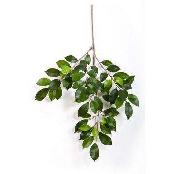 Rama de Ficus sintética AJITH, verde, 45cm