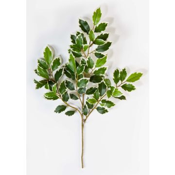 Rama de Ficus sintética AJITH, verde-blanco, 45cm Rama de Ficus sintética AJITH, verde-blanco, 45cm