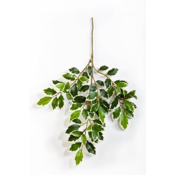 Rama de Ficus sintética AJITH, verde-blanco, 45cm
