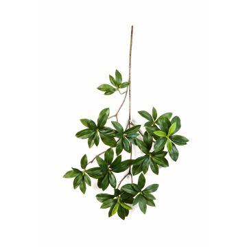 Rama Euonymus japanicus artificial SACHIKO, verde, 55cm