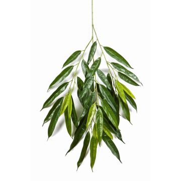 Ramillete de longifolia artificial RANJAN, verde, 80cm
