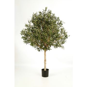 Olivo artificial NIKOLAS, tronco natural, frutos, verde, 150cm